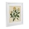 Stupell Industries Yellow Bushels Botanical Illustration Framed Print Under Glass, design by Petal Prints Design